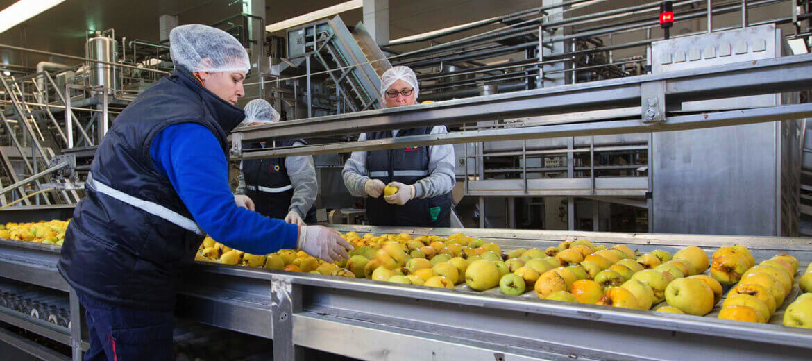 Meyve İşleme ve <br> İhracatında Lider