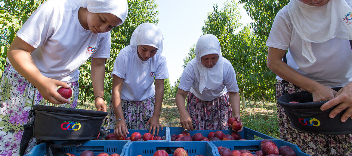 anadolu etap sosyal sorumluluk projeleri